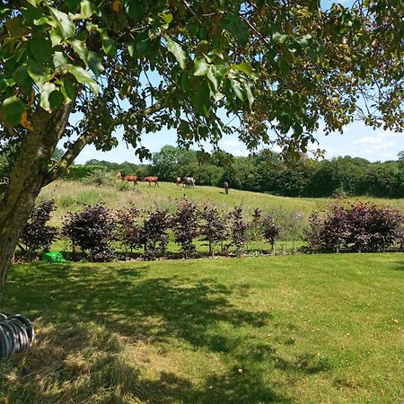 Апартаменты Suzies Self Catering Belmont Belmont  Номер фото